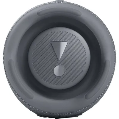 JBL Charge 5 Sivý