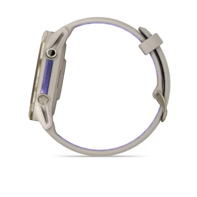 Forerunner 970, French Gray/Indigo (010-02969-12)