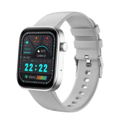 Carneo Zenith HR+ strieborné