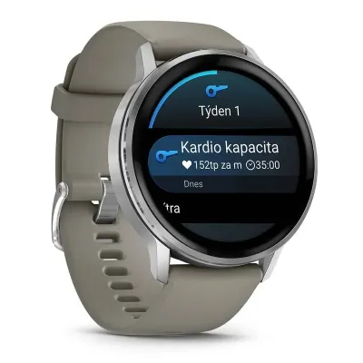 Garmin VENU 4 - 45mm, Silver + Gray (010-03014-01)