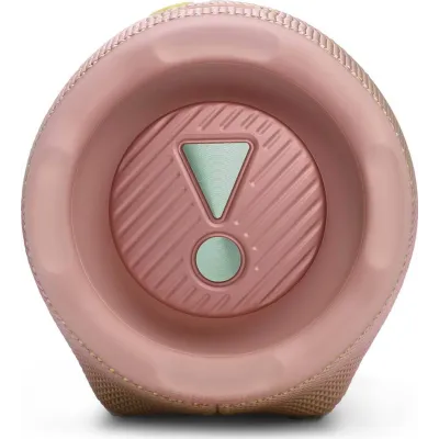 JBL Charge 6 Pink
