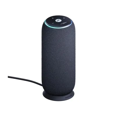 Motorola Sound Flow Pantone Carbon
