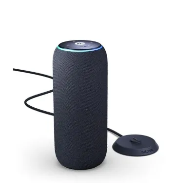 Motorola Sound Flow Pantone Carbon